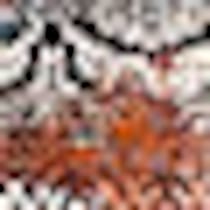 multicolor swatch  