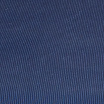 navy swatch  