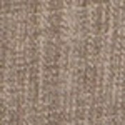 neutral swatch  