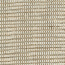 neutral swatch  
