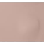 neutral swatch  