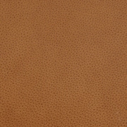 neutral swatch  