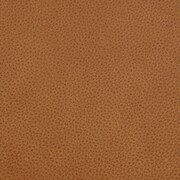 neutral swatch  