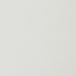 neutral swatch  