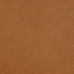 neutral swatch  