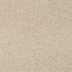 neutral swatch  