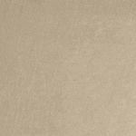 neutral swatch  