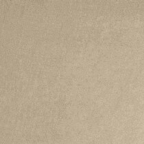 neutral swatch  