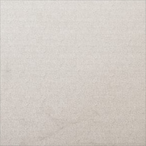 neutral swatch  