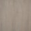 neutral swatch