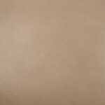 neutral swatch  