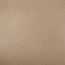 neutral swatch  