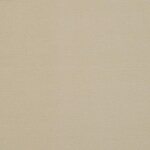 neutral swatch  