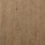 neutral swatch