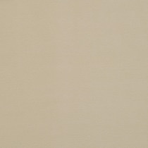 neutral swatch  