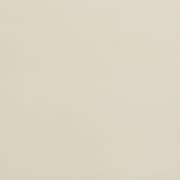 neutral swatch  