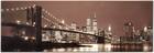 Survivor NYC Skyline Canvas Print