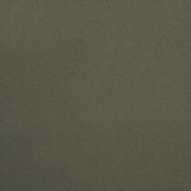 olive swatch  