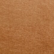 orange swatch  