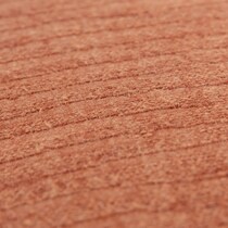 orange swatch  