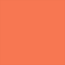 orange swatch  