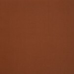 orange swatch  