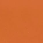 orange swatch  
