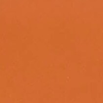 orange swatch  
