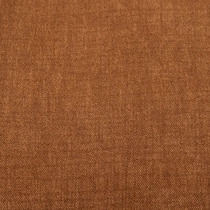 orange swatch  
