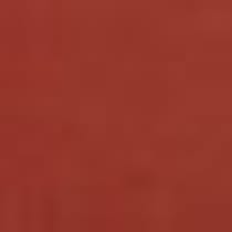 orange swatch  