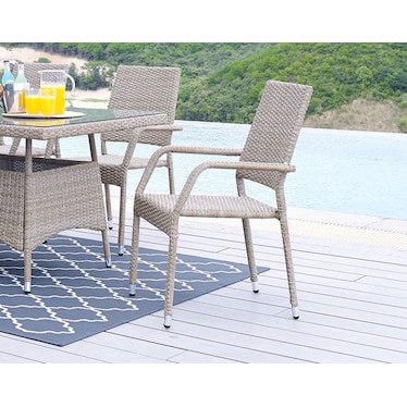 Palm Island Outdoor Dining Chair - Tan