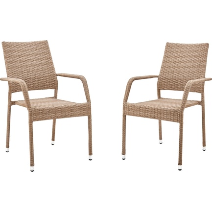 Palm Island Set of 2 Outdoor Dining Chairs - Tan