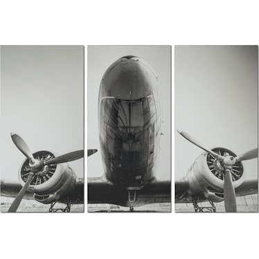 Plane 3-Piece 54'' x 81'' Wall Art Set