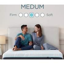 pro adapt  white california king mattress   