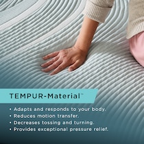 pro adapt  white california king mattress   