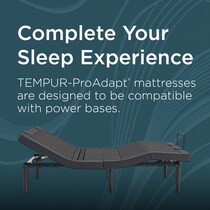 pro adapt  white twin mattress   