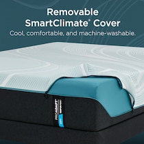pro adapt  white twin xl mattress   