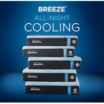 probreeze  white queen mattress   
