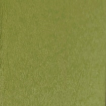 raleigh outdoor green outdoor chair   