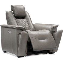 randy gray power recliner   