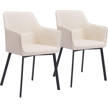 Raymond Set of 2 Dining Chairs