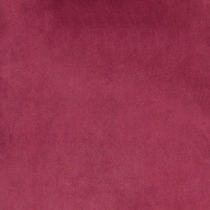 red swatch  