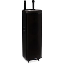 ricky black speaker   