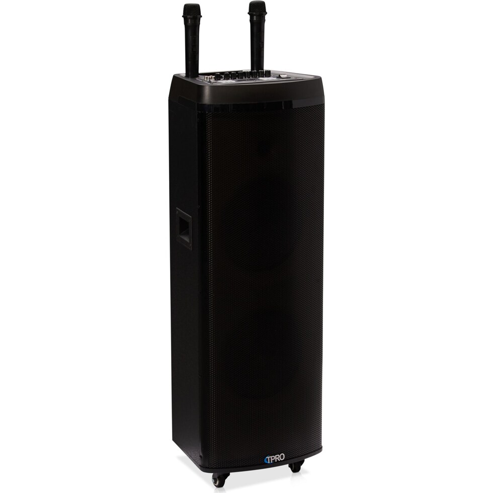 ricky black speaker   