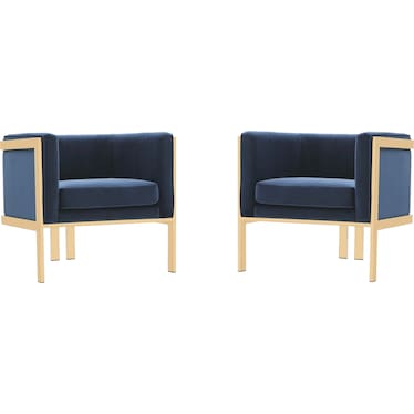 Salma Set of 2 Accent Chairs