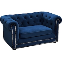 samson blue pet furniture   