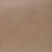 sand swatch  