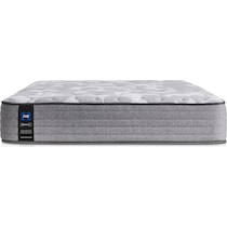 sealy dantley gray twin xl mattress   