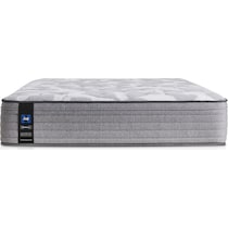 sealy dantley gray twin xl mattress   