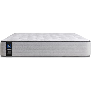 Sealy® Diggens Mattress